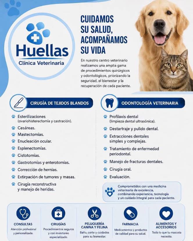 Paciente en Clínica Veterinaria Huellas